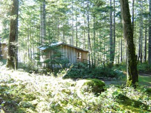 Juniper Bluffs Guest Cabin